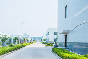 自公司成立以來，以振興和發(fā)展我國貴金屬催化劑和催化工藝為己任，已研究、開發(fā)出了活性炭負(fù)載，氧化物負(fù)載，有機(jī)物負(fù)載貴金屬催化劑，均相催化劑，手性催化劑，專用催化劑等上百種催化劑，以及一百多種催化合成/反應(yīng)工藝技術(shù)。